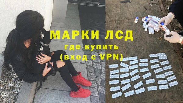 ГАЛЛЮЦИНОГЕННЫЕ ГРИБЫ Мегион
